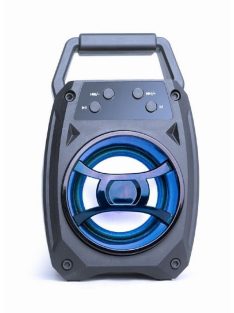 Gembird SPK-BT-14 Bluetooth portable party speaker Blue