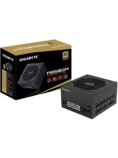 Gigabyte 850W 80+ Gold P850GM